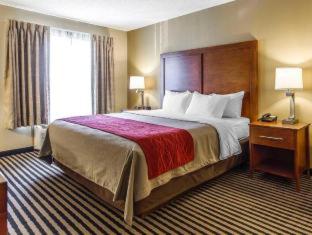 Room #49038409 at Comfort Inn Owatonna near Medical Center