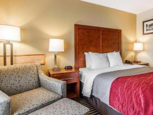 Room #49038409 at Comfort Inn Owatonna near Medical Center