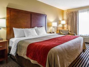 Room #49038409 at Comfort Inn Owatonna near Medical Center