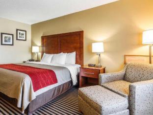 Room #49038409 at Comfort Inn Owatonna near Medical Center
