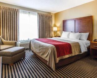 Room #49038410 at Comfort Inn Owatonna near Medical Center