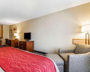 Room #49038410 at Comfort Inn Owatonna near Medical Center