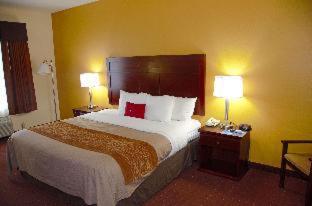 Room #29243744 at Americas Best Value Inn St. Robert