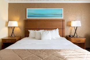 Room #5564311 at Clarion Hotel Detroit Metro Airport