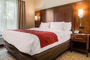 Room #352345005 at Comfort Suites Columbus Airport