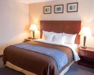 Room #48996107 at Comfort Inn Anderson South