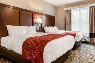 Room #352345008 at Comfort Suites Columbus Airport