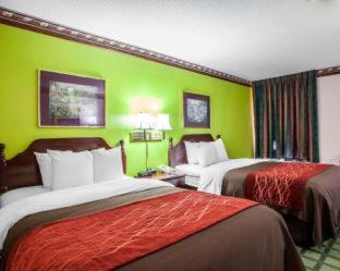 Efficiency Queen Room with Two Queen Beds - Non Smoking at Quality Inn