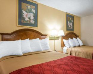 King Room - Non Smoking at Econo Lodge Inn & Suites Macon