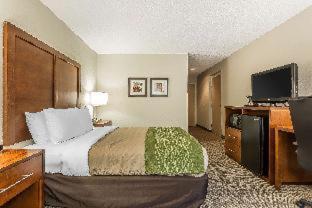 Room #28350715 at Quality Inn Summerville - Charleston