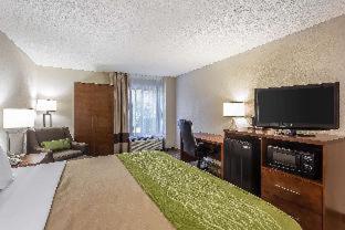 Room #28350716 at Quality Inn Summerville - Charleston