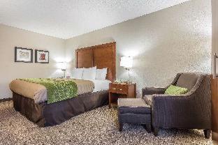 Room #28350716 at Quality Inn Summerville - Charleston