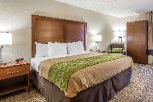 Room #28350716 at Quality Inn Summerville - Charleston