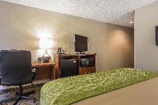 Room #28350716 at Quality Inn Summerville - Charleston