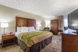 Room #28350716 at Quality Inn Summerville - Charleston