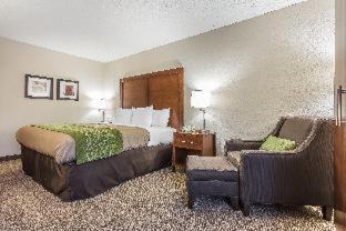 Room #28350716 at Quality Inn Summerville - Charleston