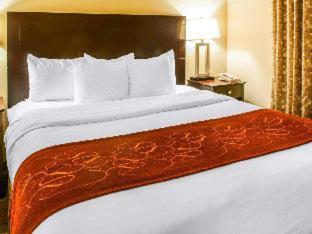 Family King Room with Tub - Accessible/Non Smoking at Comfort Suites Gallup East Route 66 and I-40