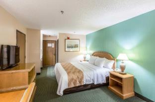 Room #32325811 at Quality Inn Allen - Plano East