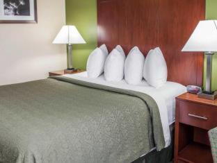 Room #48994807 at Quality Inn & Suites South Bend Airport