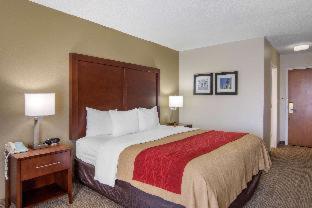 Room #49209210 at Comfort Inn Chester - Richmond South