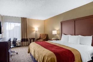 Room #49209210 at Comfort Inn Chester - Richmond South