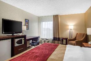 Room #49209210 at Comfort Inn Chester - Richmond South