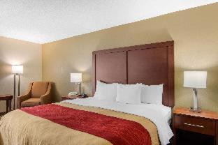 Room #49209210 at Comfort Inn Chester - Richmond South