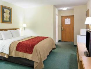Room #49209210 at Comfort Inn Chester - Richmond South