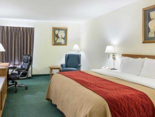Room #49209210 at Comfort Inn Chester - Richmond South
