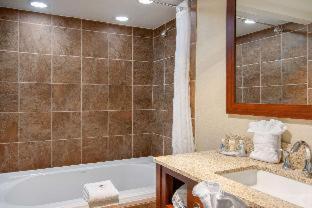 Room #49209211 at Comfort Inn Chester - Richmond South