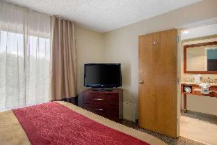 Room #49209211 at Comfort Inn Chester - Richmond South