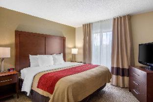 Room #49209211 at Comfort Inn Chester - Richmond South