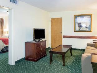 Room #49209211 at Comfort Inn Chester - Richmond South