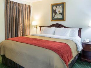 Room #49209211 at Comfort Inn Chester - Richmond South