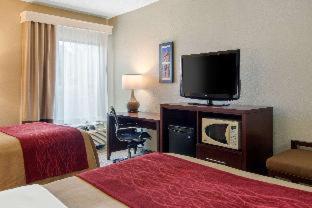 Room #49209212 at Comfort Inn Chester - Richmond South