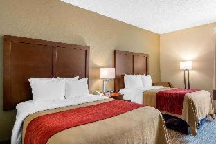 Room #49209212 at Comfort Inn Chester - Richmond South