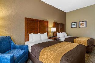Room #48957410 at Comfort Inn & Suites Peachtree Corners - Norcross