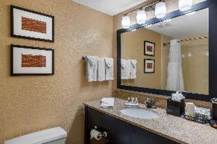 Room #48957411 at Comfort Inn & Suites Peachtree Corners - Norcross