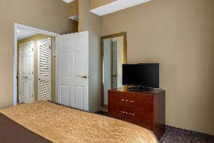 Room #48957412 at Comfort Inn & Suites Peachtree Corners - Norcross