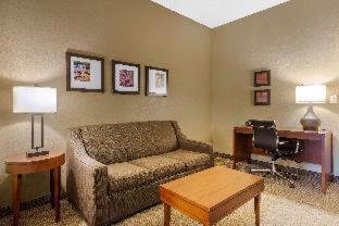 Room #48957412 at Comfort Inn & Suites Peachtree Corners - Norcross