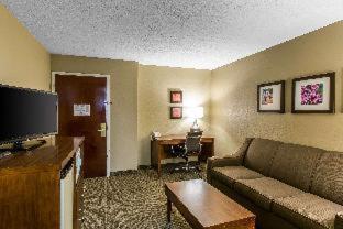 Room #48957412 at Comfort Inn & Suites Peachtree Corners - Norcross