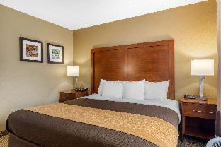 Room #48957414 at Comfort Inn & Suites Peachtree Corners - Norcross