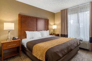 Room #48957414 at Comfort Inn & Suites Peachtree Corners - Norcross