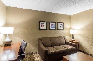 Room #48957414 at Comfort Inn & Suites Peachtree Corners - Norcross