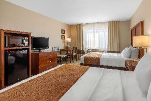 Room #48911010 at Comfort Inn & Suites Murrieta Temecula Wine Country