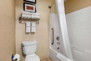 Room #48911011 at Comfort Inn & Suites Murrieta Temecula Wine Country