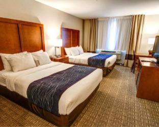 Room #48911013 at Comfort Inn & Suites Murrieta Temecula Wine Country