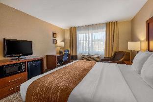 Room #48911014 at Comfort Inn & Suites Murrieta Temecula Wine Country