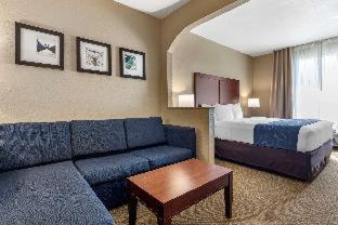 Room #49189905 at Comfort Suites Waco Near University Area
