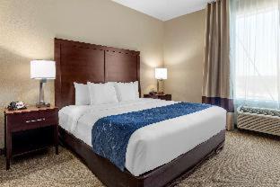 Room #49189907 at Comfort Suites Waco Near University Area